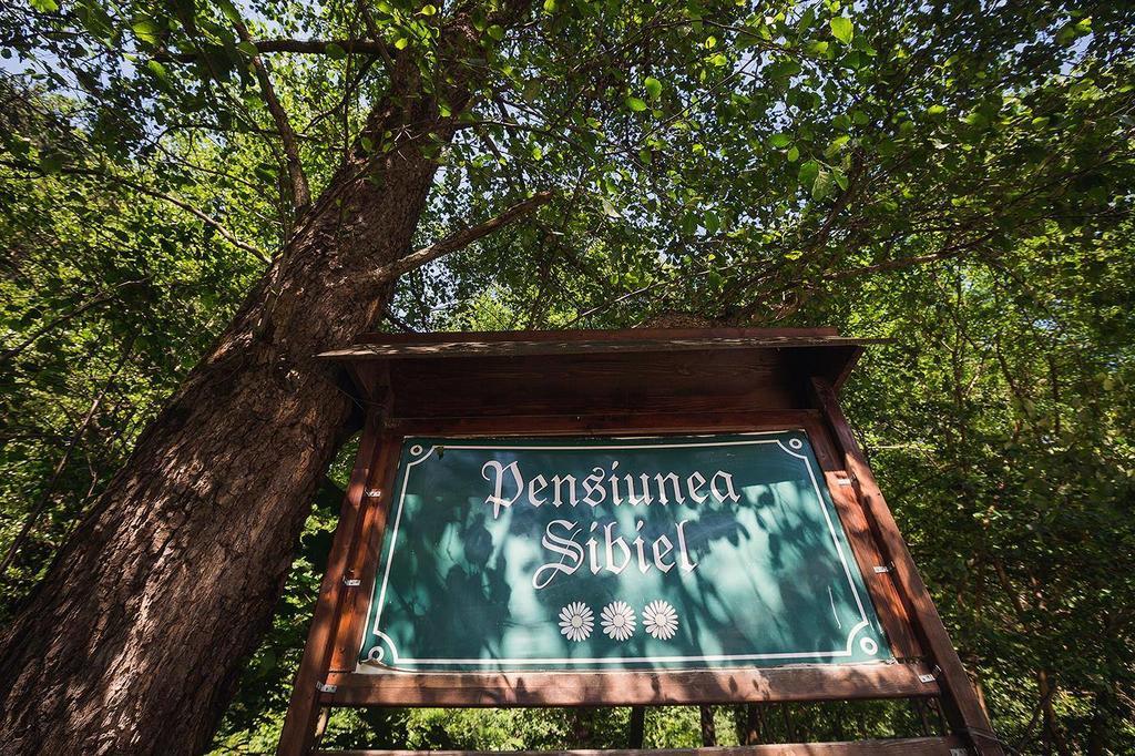 Pensiunea Sibiel Exteriér fotografie